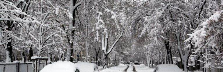“Відразливий снігопад накриє кілька областей України, сильний вітер несеться у цей регіон із холодом”: синоптики про мороз
