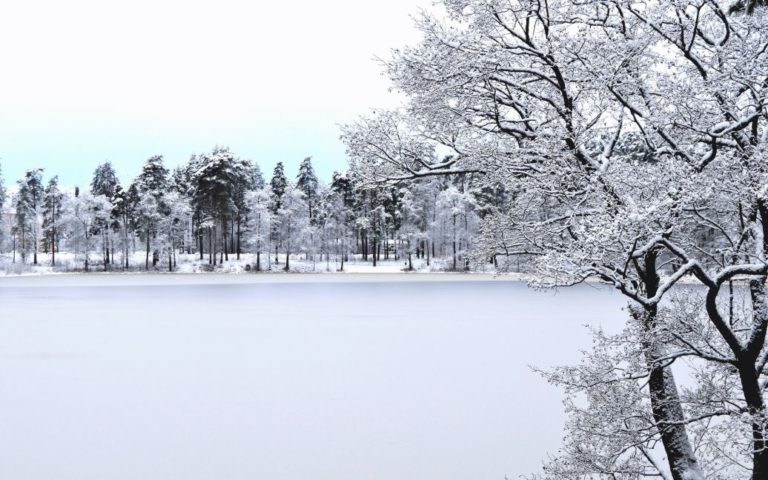 Коли в Україні вдарять морози: Прогноз Укргідрометцентру