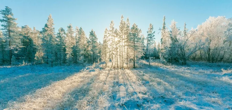 “Зима покаже характер”: Синоптик розповів, на яку погоду чекати в Україні у лютому