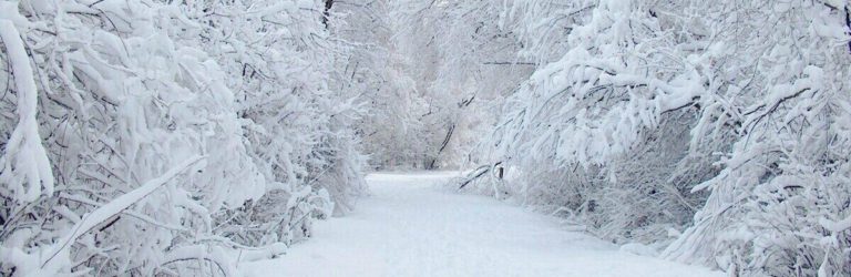 “Лютий мороз накриє ці області України прямо завтра, синоптики кажуть про жахний снігопад”: Експерти про холод