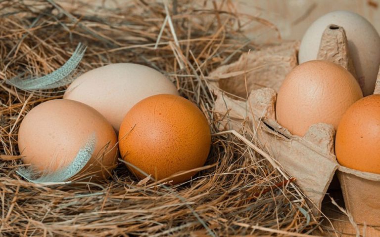 В Україні зміниться ціна на яйця: коли і якою буде вартість