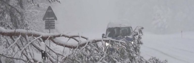 “Шалений снігопад накриє ці області України прямо завтра, лютий мороз вразить посеред весни”: синоптики про сніг у березні