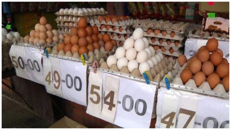 В Україні будуть вже по новому продавати курячі яйця: Не віриться що вони таке прийняли