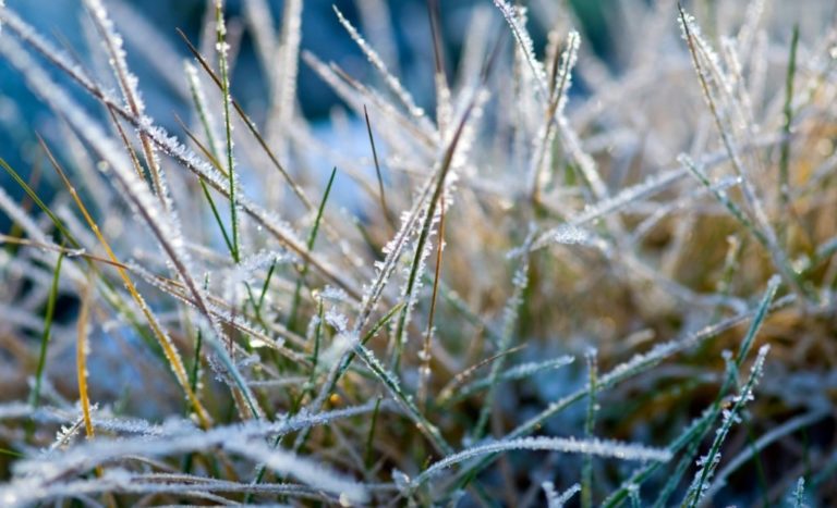 Вночі заморозки, а вдень до +20 градусів: Синоптик Діденко попередила про погоду