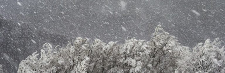 “Шалений снігопад накриє цю область України вже завтра, люта гроза суне в цей регіон”