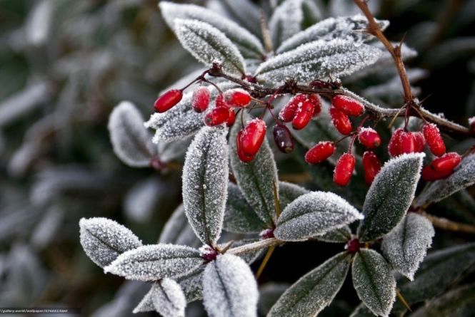 Нічний мороз стане денною спекою та грози: Синоптики попередили про дуже різну погоду по Україні