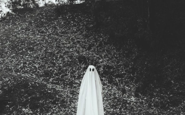 Дрон випадково зафільмував моторошні кадри привида “чорноокої дівчини” у лісі (фото)
