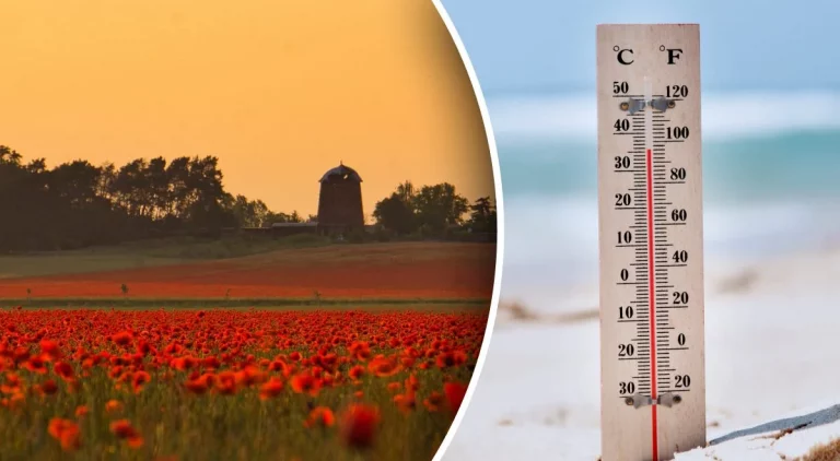 Україна буде в полоні потужної спеки: Синоптики назвали дату різкого потепління