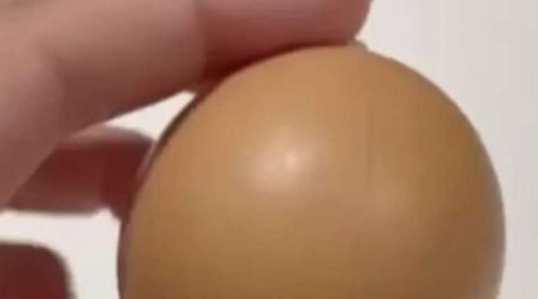 Жінка знайшла кругле яйце, яке буває “одне на мільярд”: його можна продати за сотні доларів