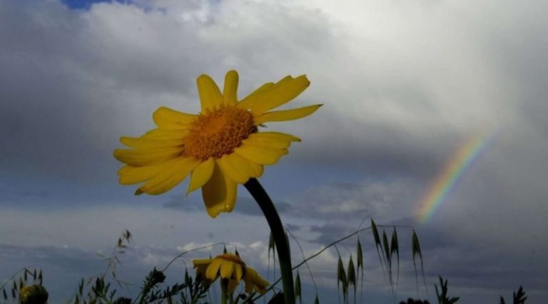 Ексклюзивний прогноз погоди на серпень в Україні: коли літо скаже нам “до побачення”