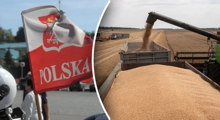 Польща проти українського зерна та не відкриє свій кордон – Моравецький