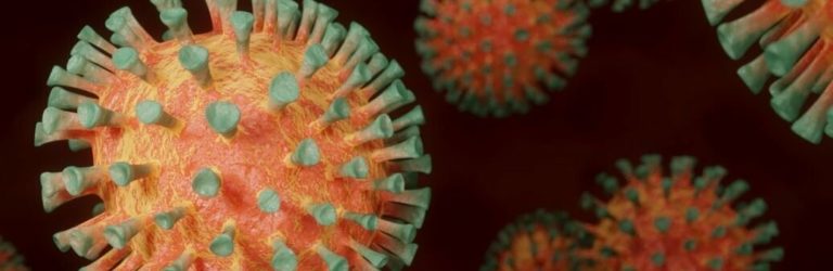 Просто обходить імунітет: чим страшний новий штам коронавірусу Пірола і чи можливо від нього врятуватися
