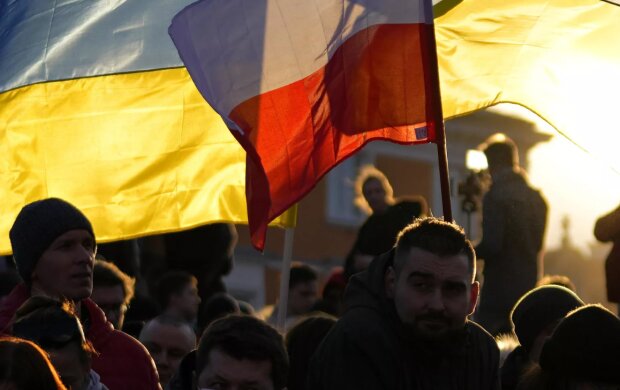 Навіть на збір полуниці не пустять: Польща перестане приймати українських біженців
