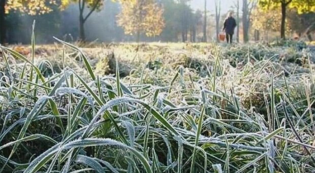 Такого холоду не чекав ніхто, в Україну суне вражаючий дощ: фахівці сказали, коли будуть снігопад і мороз