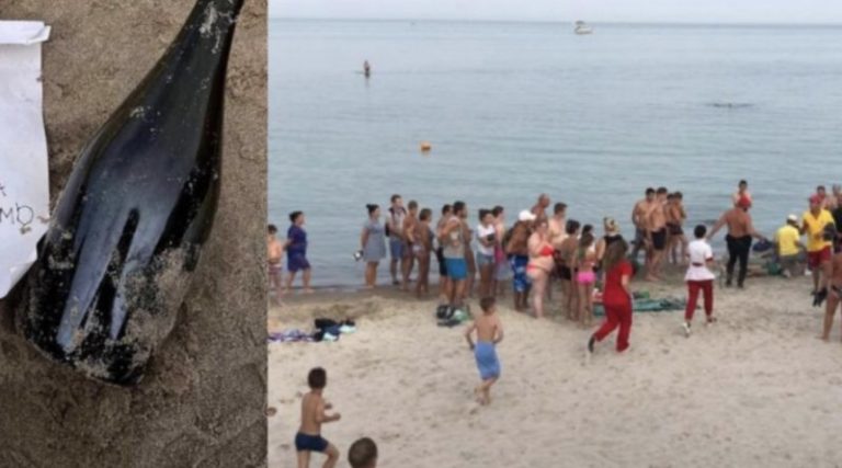 На пляж Одеси прибило пляшку з заиискою із Криму, з’явилося фото: “Сподіваємось цей лист nотраиить до рук українців”
