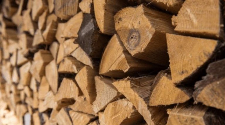 Українці можуть отримати безкоштовні дрова на зиму: хто має право на таку допомогу