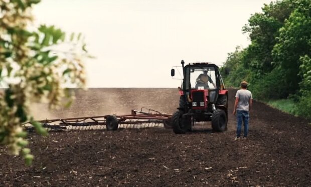 Стосується всіх селян та фермерів: в Україні хочуть запровадити зернові репарації