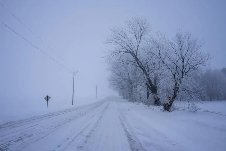 Україну накриває сильний шторм: вируватиме потужний вітер та снігопади
