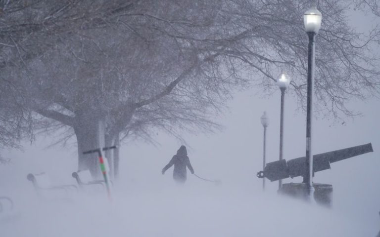 Сильні хуртовини, замети і мороз до -25°: коли Україну накриє потужна зимова негода