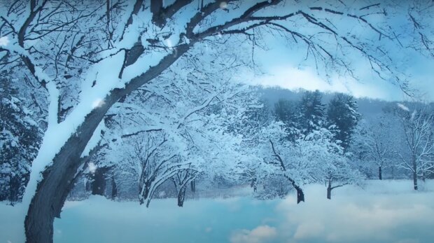Морози скують землю та ще й снігом привалить: синоптик Діденко попередила про погоду
