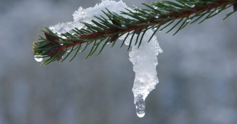 Синоптики попереджають про різку зміну погоди: після морозів в Україні буде +10 градусів тепла