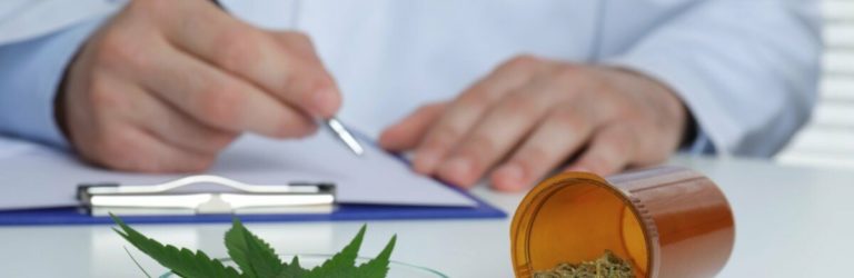 Президент Зеленський підписав закон про легалізацію медичного канабісу