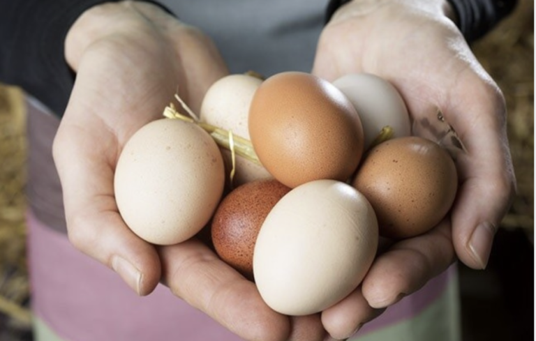 Нi в якому разі не вздумайте позичайти курячі яйця: що про це кажуть народні прикмети – Подробиці…
