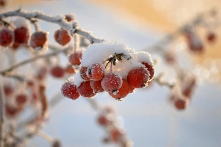Влупить -3 градуси та заллє грозовими дощами: в Україну увірвалась холоднеча
