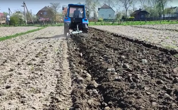 В українців почнуть забирати землю та паї: вже названо офіційні причини та дати